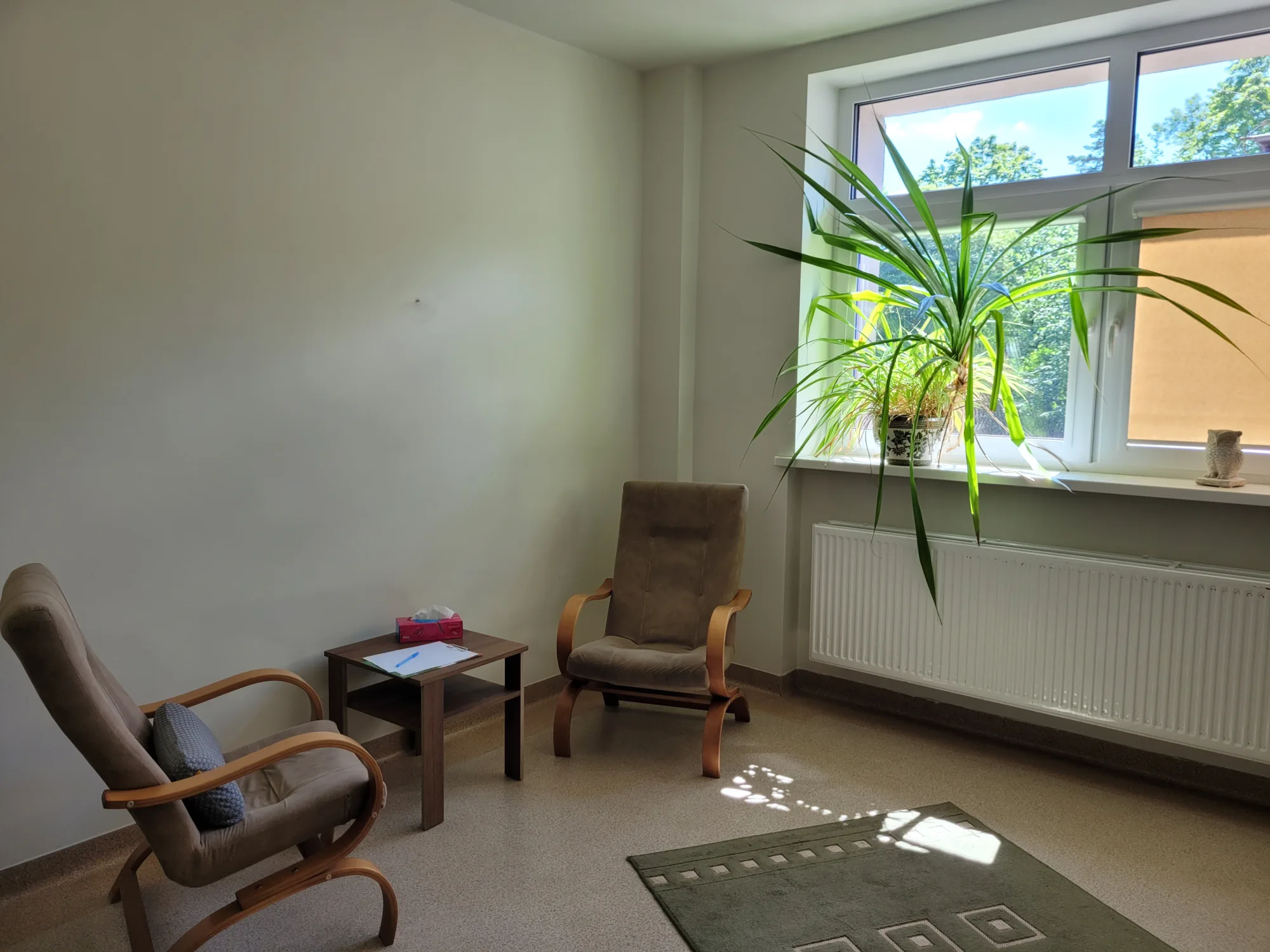 Gabinet psychoterapii w Olsztynie: dwa fotele przy niskim stoliku, duże okno i zieleń za szybą
